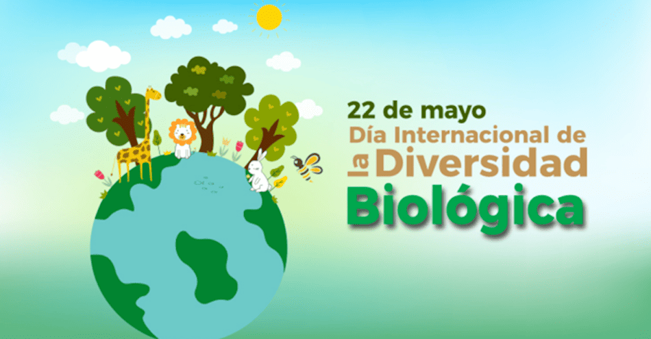 Día internacional de la biodiversidad biológica: 22 de mayo