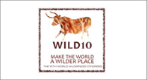 Logo Wild10
