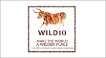 Logo Wild10